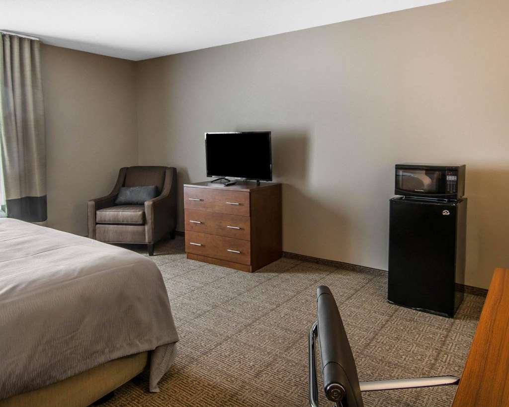 Comfort Inn South Chesterfield - Colonial Heights Værelse billede