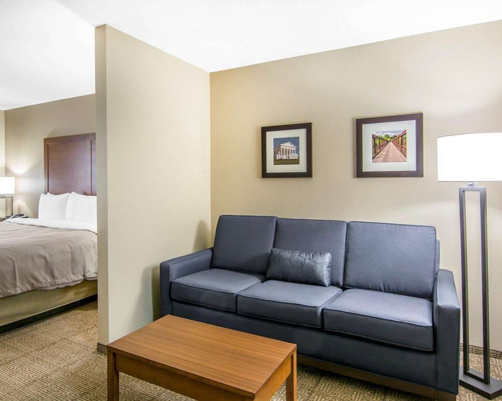 Comfort Inn South Chesterfield - Colonial Heights Værelse billede