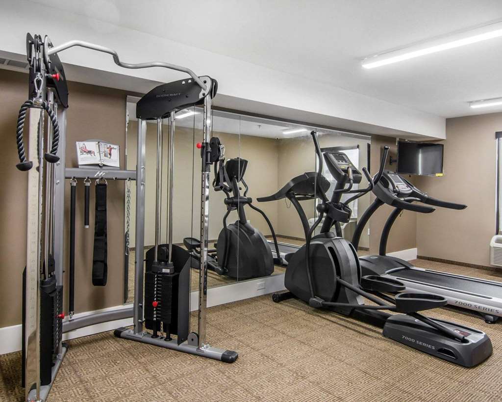 Comfort Inn South Chesterfield - Colonial Heights Faciliteter billede