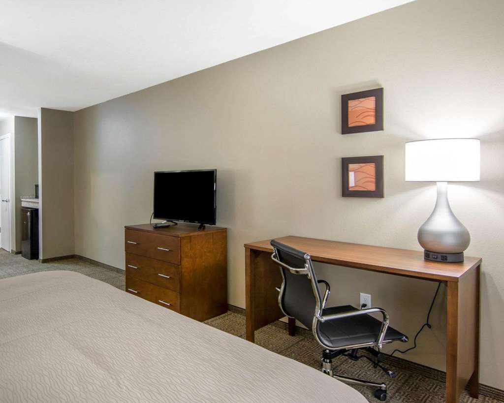 Comfort Inn South Chesterfield - Colonial Heights Værelse billede